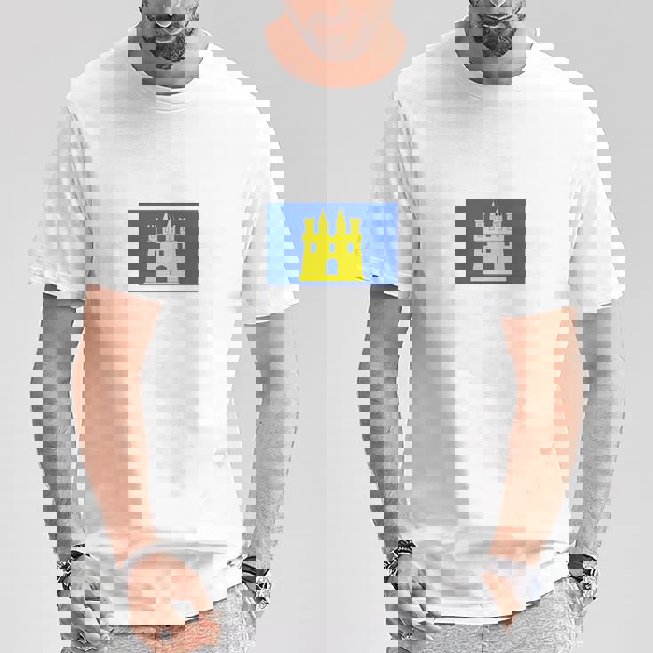 ギャップフラッグ フランス プライド ギフト 長袖tシャツ Tシャツ 面白い贈り物