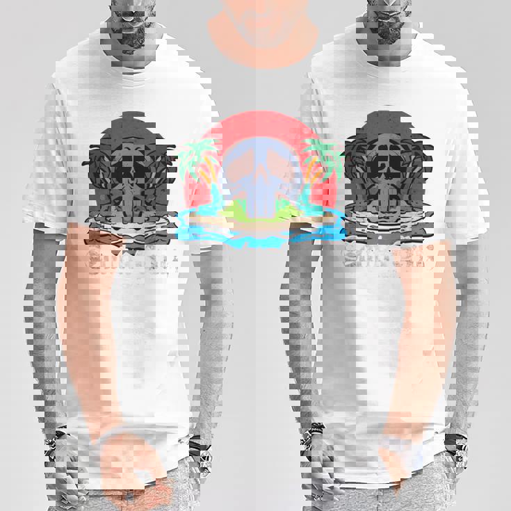 サンタクルーズ カリフォルニア ヴィンテージ レトロ 長袖tシャツ Tシャツ 面白い贈り物