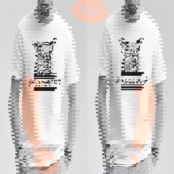 チベットスナギツネ 面白い Tシャツ 面白い贈り物