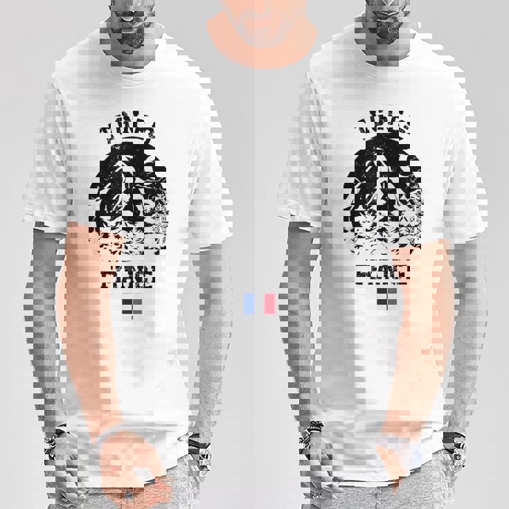 ティニュ フランス アルプス スキー場 アルペンスキー フランス国旗 Tシャツ 面白い贈り物