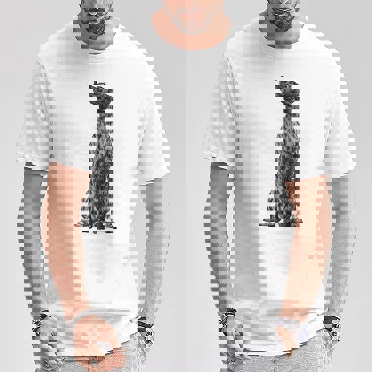 ドッグ・プロット・ハウンド Tシャツ 面白い贈り物