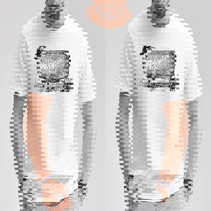 ビンテージ羊の描画 Tシャツ 面白い贈り物