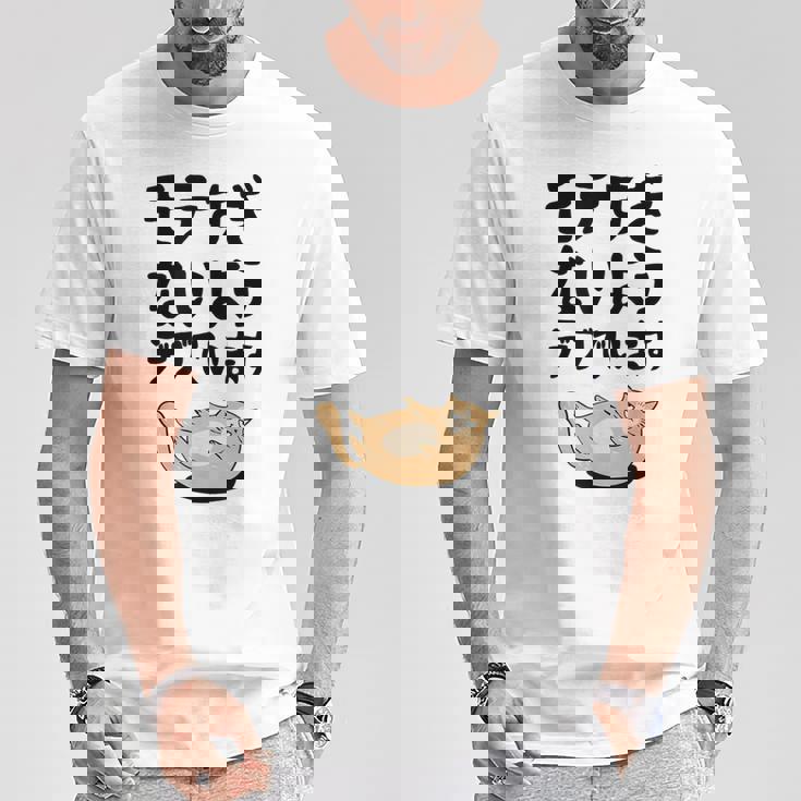 モテすぎないようデブでいます 猫 ギャグ ジョーク 猫好き おもしろ ネコ ネタ Tシャツ 面白い贈り物