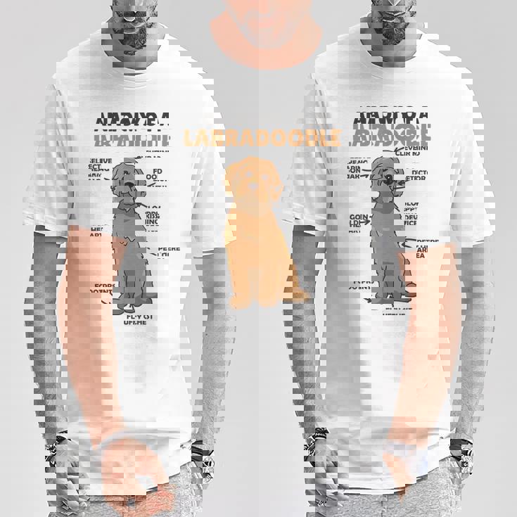 ラブラドゥードルの解剖学かわいい犬面白い犬ラブラドゥードル Tシャツ 面白い贈り物