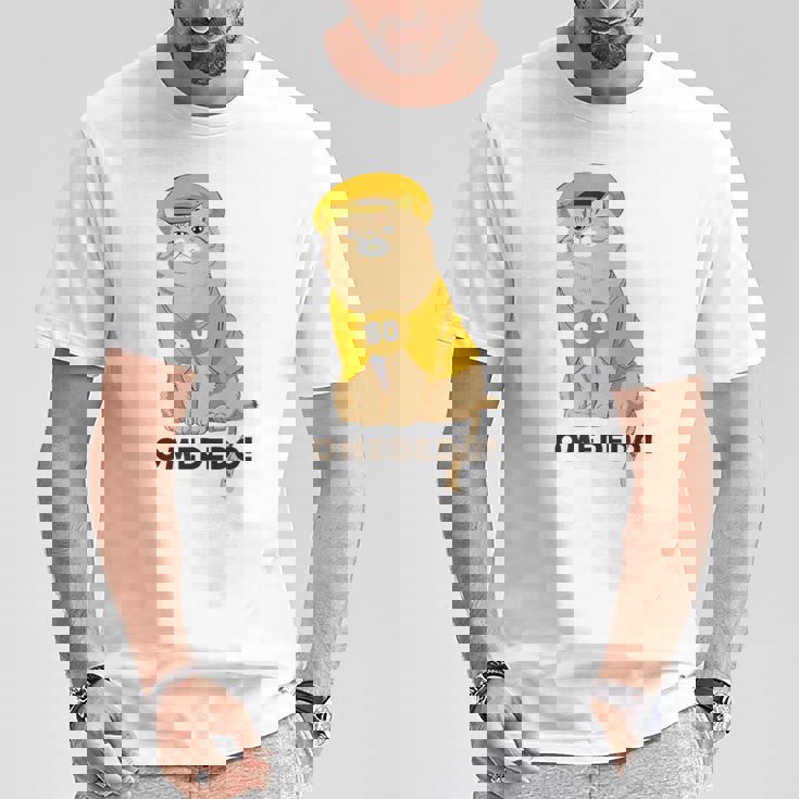 傘寿祝い 猫 ねこ ちゃんちゃんこ 男性 女性 猫好き 傘寿 お祝い 80歳 かわいい おもしろ ベージュ猫 Tシャツ 面白い贈り物