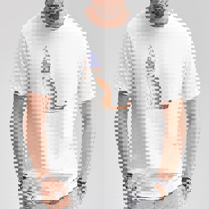 古希祝い 猫好き 男性 女性 古希 お祝い 70歳 かわいい ねこ おしゃれ 猫 紫色 Tシャツ 面白い贈り物