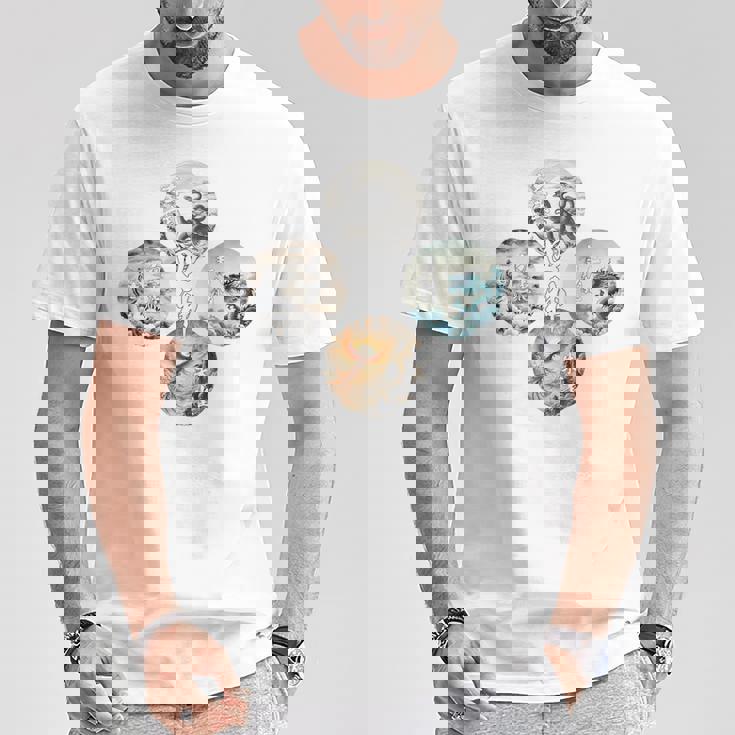 四神 青龍 白虎 朱雀 玄武 四象 東西南北 バックプリント Tシャツ 面白い贈り物