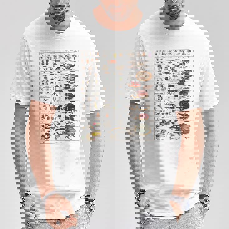 昆虫の種類 ビンテージバグ同定科学 Tシャツ 面白い贈り物