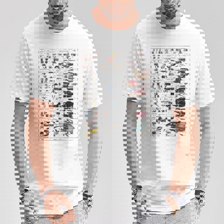 昆虫コレクション 種 虫 ビンテージ チャート 昆虫学 Tシャツ 面白い贈り物
