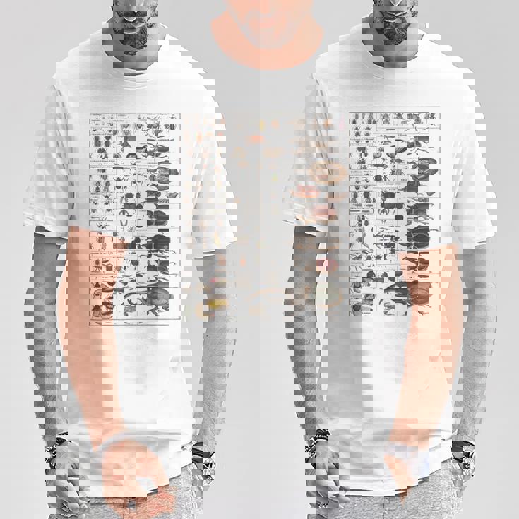 昆虫学者 昆虫学 昆虫 虫の種類 Tシャツ 面白い贈り物