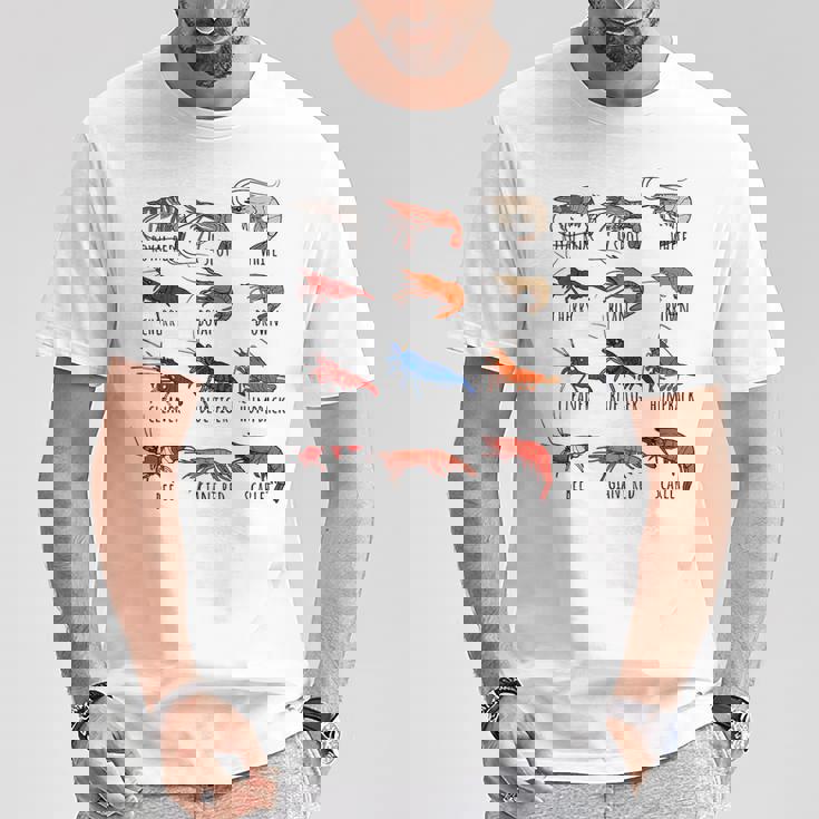 異なるタイプのエビの品種コレクション、かわいいエビ愛好家。 Tシャツ 面白い贈り物
