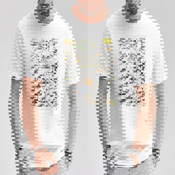 虫 昆虫 虫虫型 昆虫学プリント 虫プリント Tシャツ 面白い贈り物