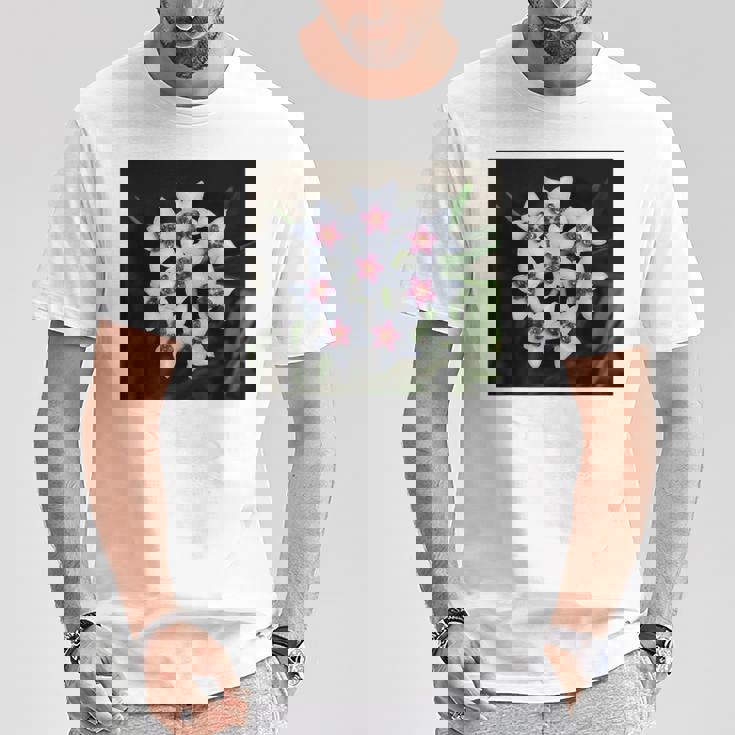 面白いhoya Flowers 多肉植物 ガーデニング 植物 Tシャツ 面白い贈り物