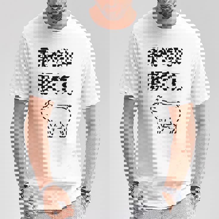 飛べない豚です。 ネタ ギャグ ギャグ好き 豚 ただの豚 ネタ好き おもしろ 長袖tシャツ Tシャツ 面白い贈り物