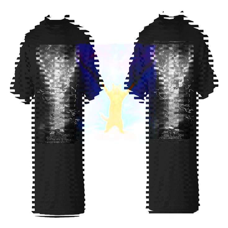 Cat Merch おかしな猫 稲妻 サンダーボルト オン マウンテン Tシャツ