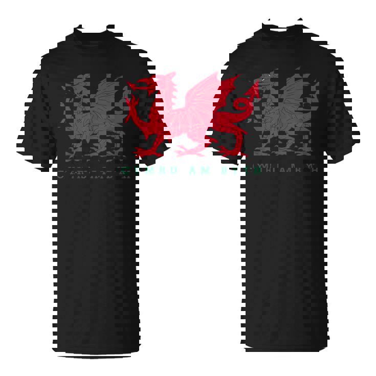 Cymru Am Byth ウェールズ ラグビー ドラゴンウェールズ プレイヤープライドギフト Tシャツ