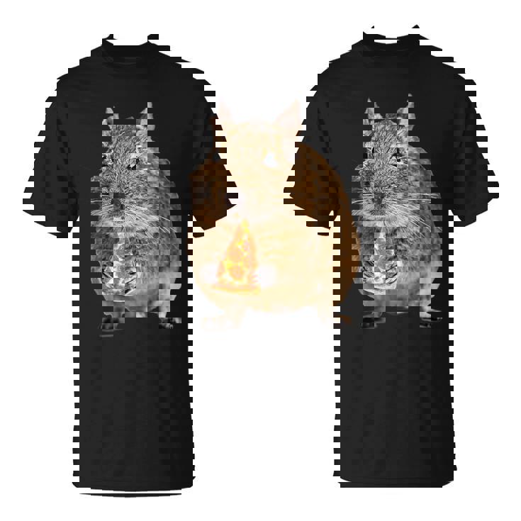 Degu Eating Alice Of Pizza Tシャツ