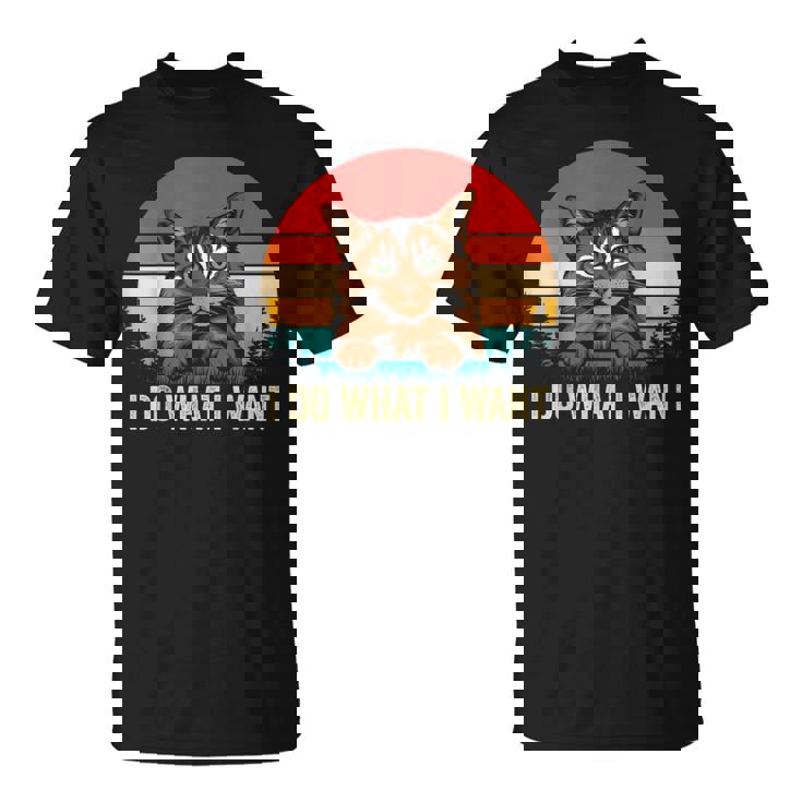 I Do What I Want Cat レトロ ヴィンテージ 面白い 猫好き Tシャツ