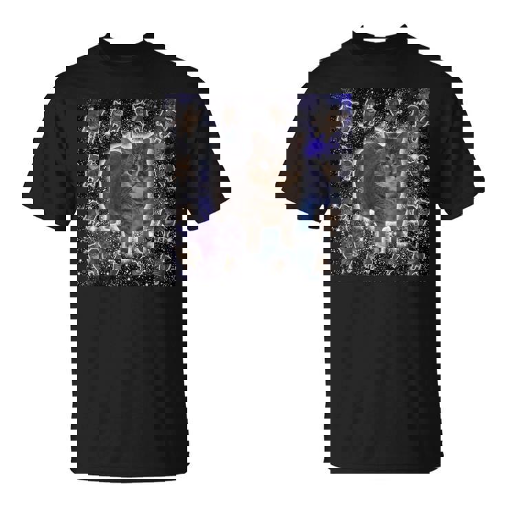 Oiiaa Oiiaa Cat Brainrotiralpining Cat Meme Tシャツ