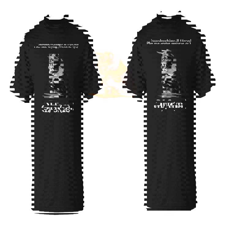 Please Make Everything Go Well For 私だけ 猫の言葉 Tシャツ