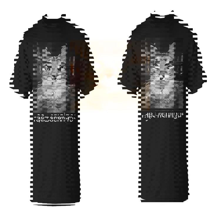 Rage Is Consuming Me 愚かな凝視猫ミーム Tシャツ