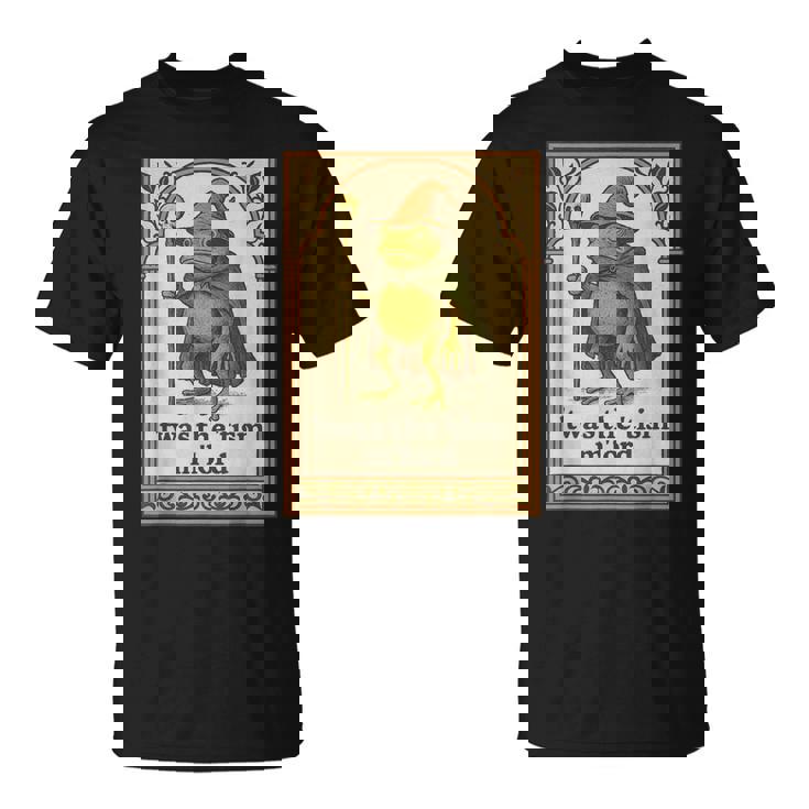 Twas The 'Tism M'lord Wizard Frog Autism Mens T-Shirt | Mazezy