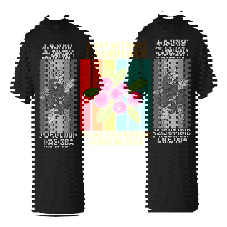 Vintage A Day Without Cranberry I Have No Idea クランベリー Tシャツ