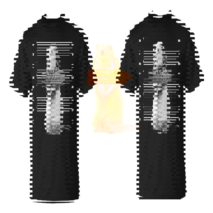 かわいいフェレット泥棒 面白い動物 Tシャツ