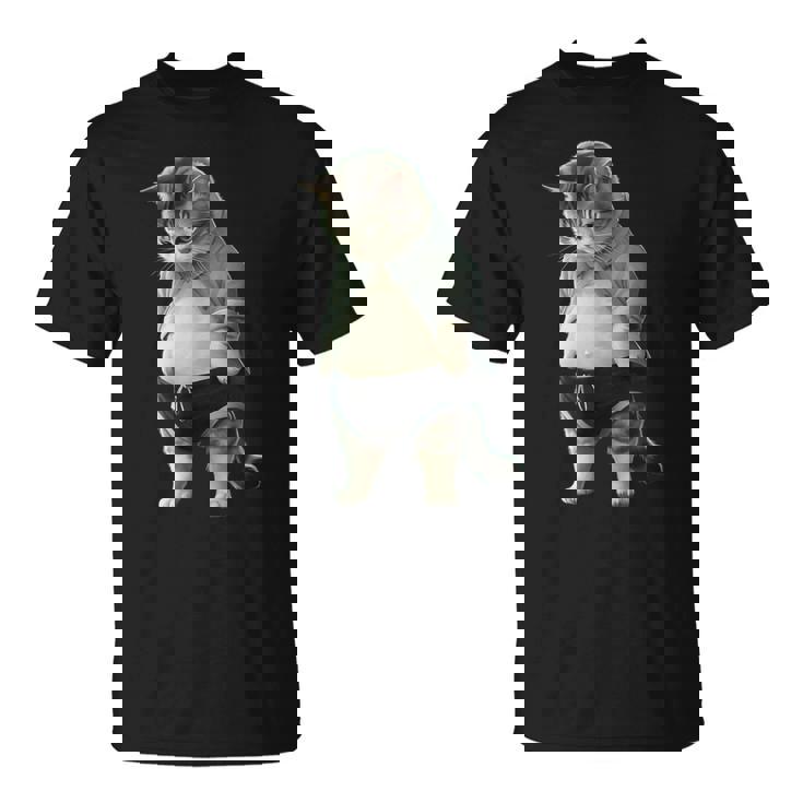 ぽっちゃり猫 お腹が大きい猫 ユーモア Fat Cat Tシャツ