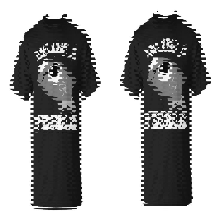 アイム・ジャスト・ア・ペブル・ダンディーズ・ワールド Tシャツ