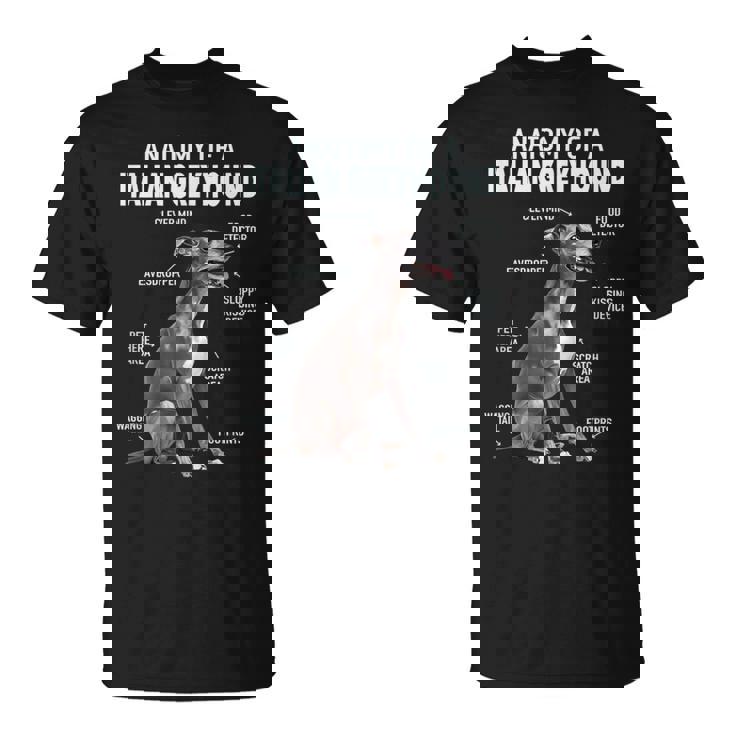 イタリアングレイハウンドの解剖学 Tシャツ