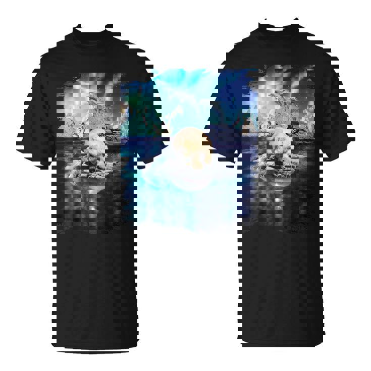 イルカと北のシロクマ、ライトとイルカ Tシャツ