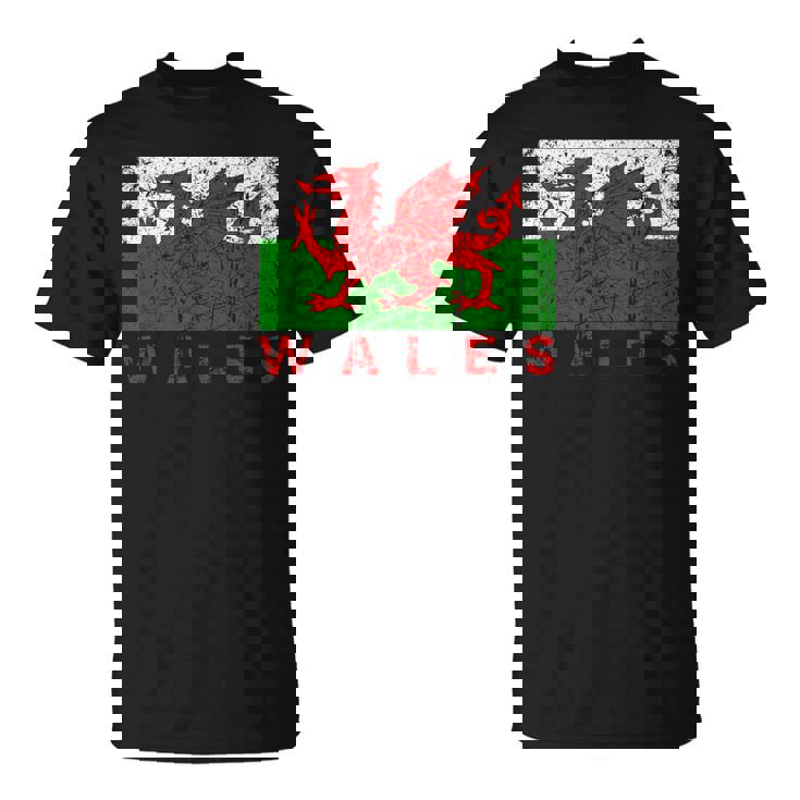 ウェールズ国旗 ウェールズ ドラゴン アンティーク調 メンズ レディース キッズ Tシャツ