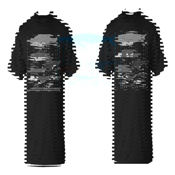 クジラの種類 Tシャツ