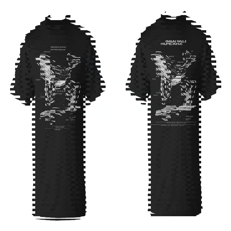 ザトウクジラの解剖学アパレルクジラ航海 Tシャツ