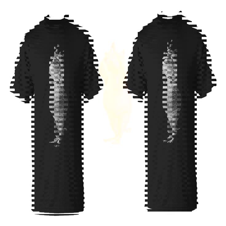 チンチラヨガ Tシャツ