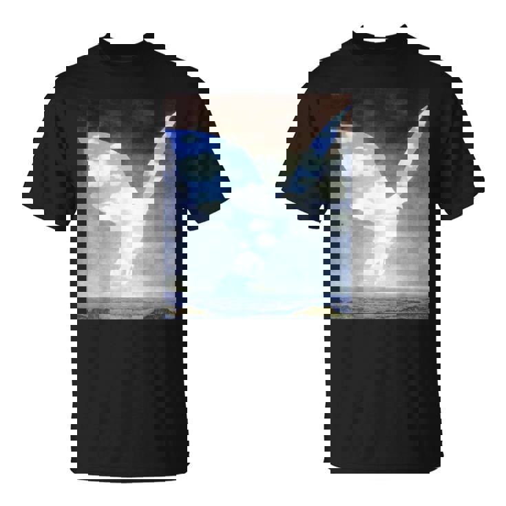 ハンサムシャツ Tシャツ