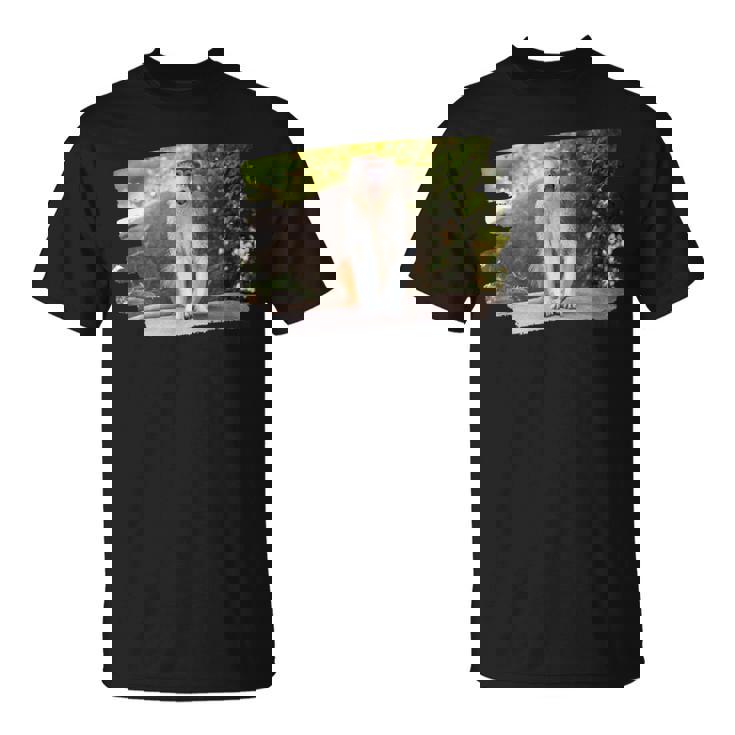 パタス・モンキー Tシャツ