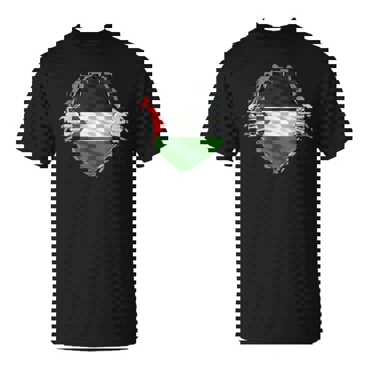 パレスチナシャツ パレスチナ国旗 アラビアのルーツ 遺産 Dna Tシャツ