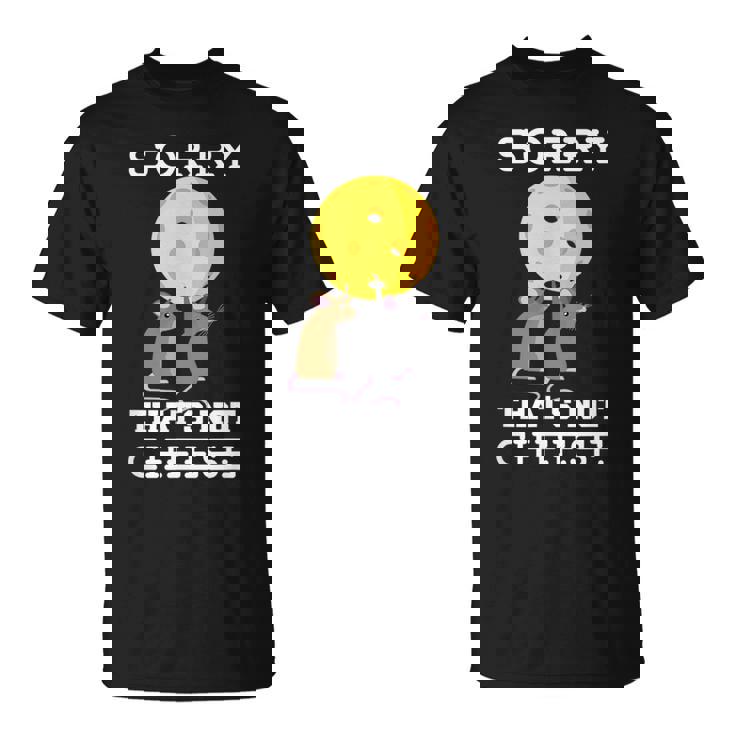 ピックルボール用パドル ラケット、ピックルボール用ボール、ピックルボール Tシャツ