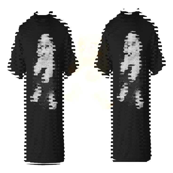 ポケットに入った面白いcavachon Dog Cavachon Dog好きのための Tシャツ