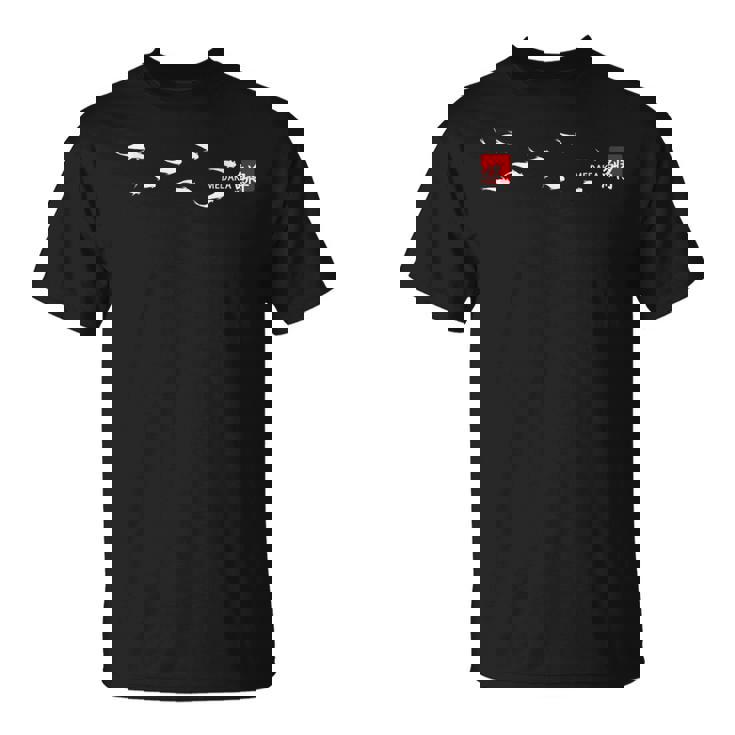 メダカ めだかイラスト入り Tシャツ