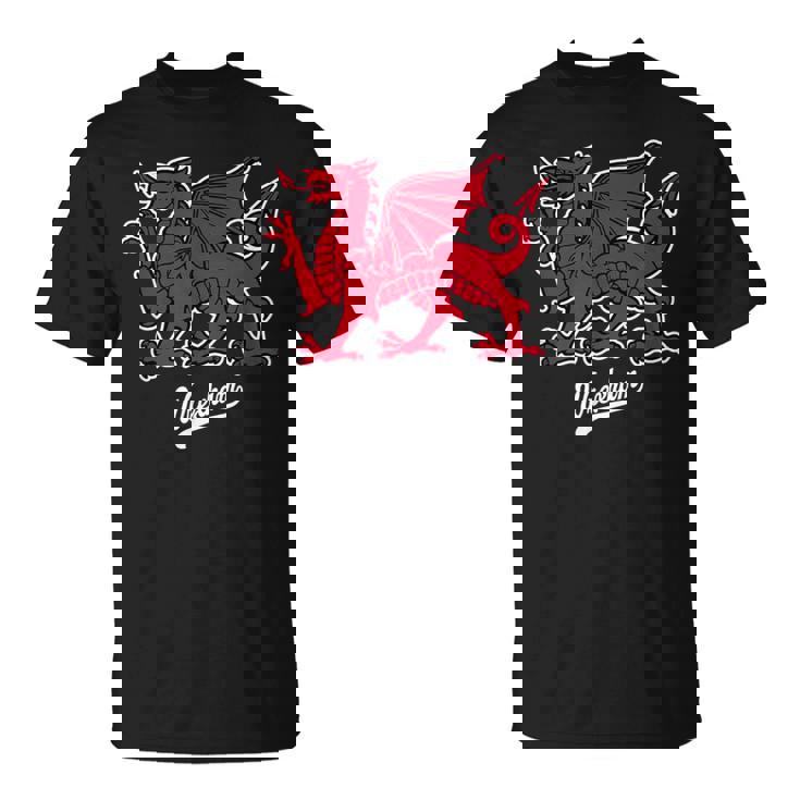 レクサム ウェールズドラゴン 小台本 Tシャツ