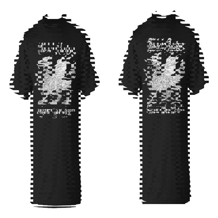 ヴィンテージ ウェールズ ラグビー シャツ ギフト Tシャツ