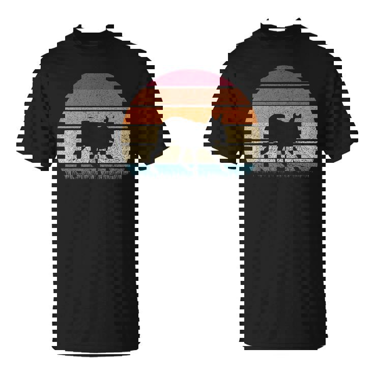 ヴィンテージ レトロ サンセット パタゴニア マーラ 恋人 アンティーク調 Tシャツ