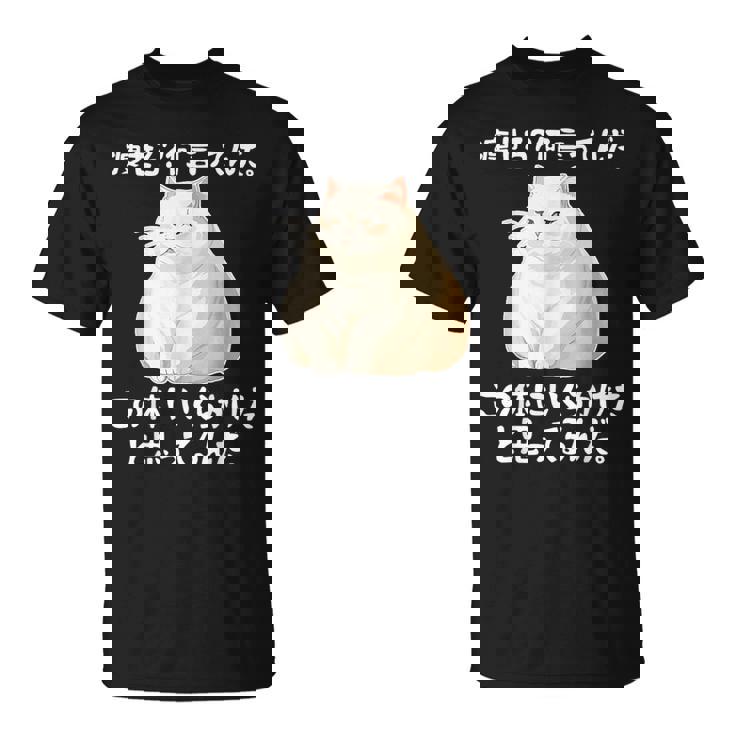 メンズ 半袖【痩せろ何言ってんだ。この体にいくらかけたと思ってるんだ】ギャグ ネタ ウケ狙い 贈り物 ギフト おもしろ Tシャツ