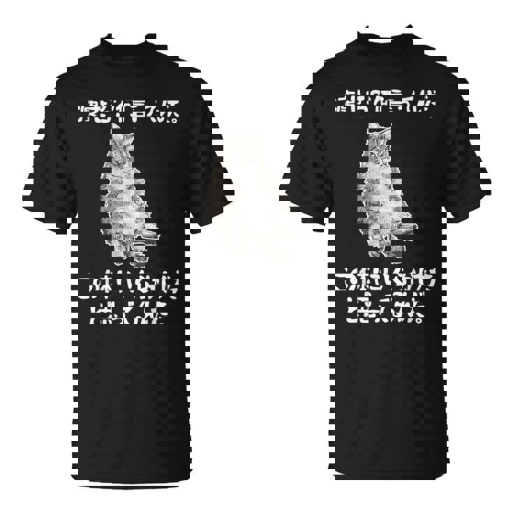 メンズ 半袖【痩せろ何言ってんだ。この体にいくらかけたと思ってるんだ】ギャグ ネタ ウケ狙い 贈り物 ギフト おもしろ Tシャツ