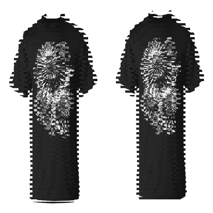 古生物学者化石アンモナイト Tシャツ