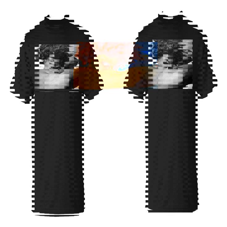 堕天使ルシファー・アレクサンドル・カバネル・ルネサンス ゴシック Tシャツ