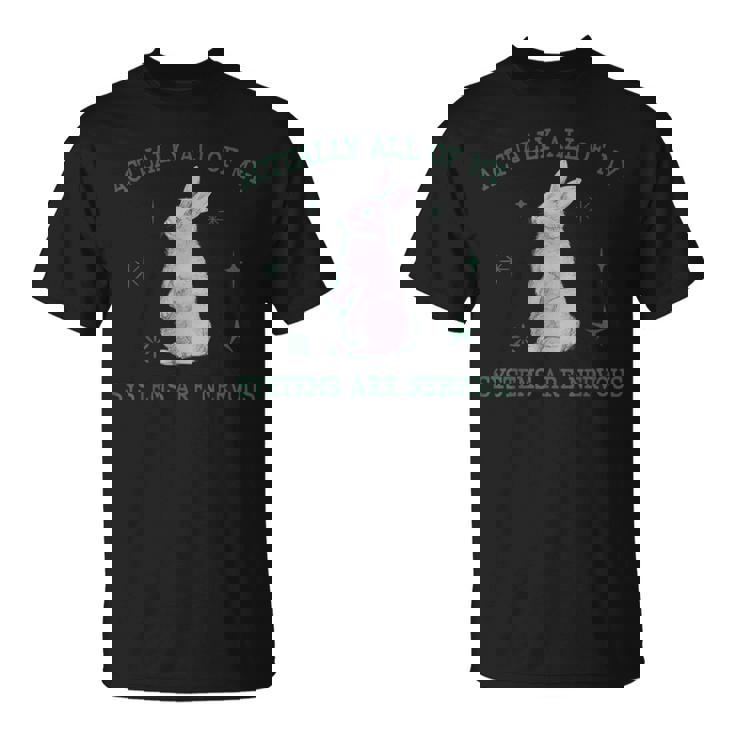 実は俺のシステムバニーのウサギは神経質な不安 Tシャツ